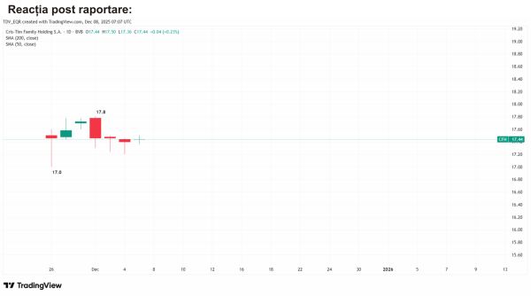 TradeVille: Cris-Tim şi-a consolidat poziţia operaţională